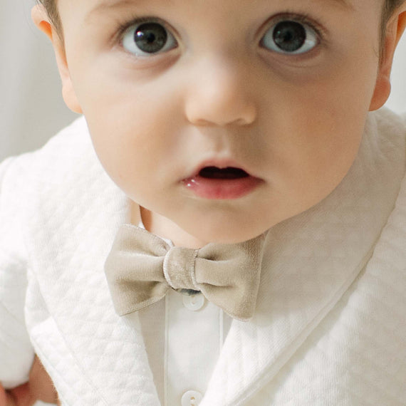 Braden Velvet Bow Tie & Boutonniere