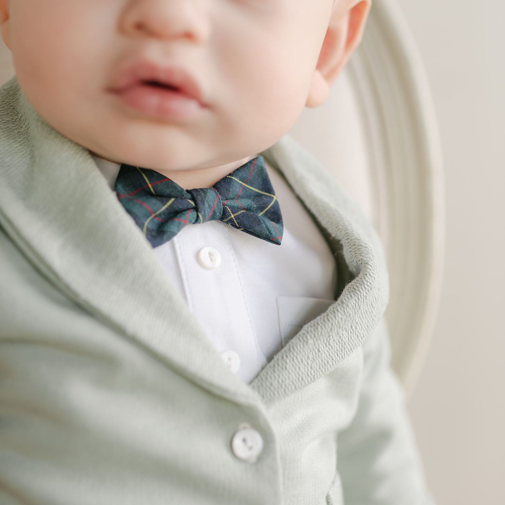 Cole Bow Tie & Boutonniere Set