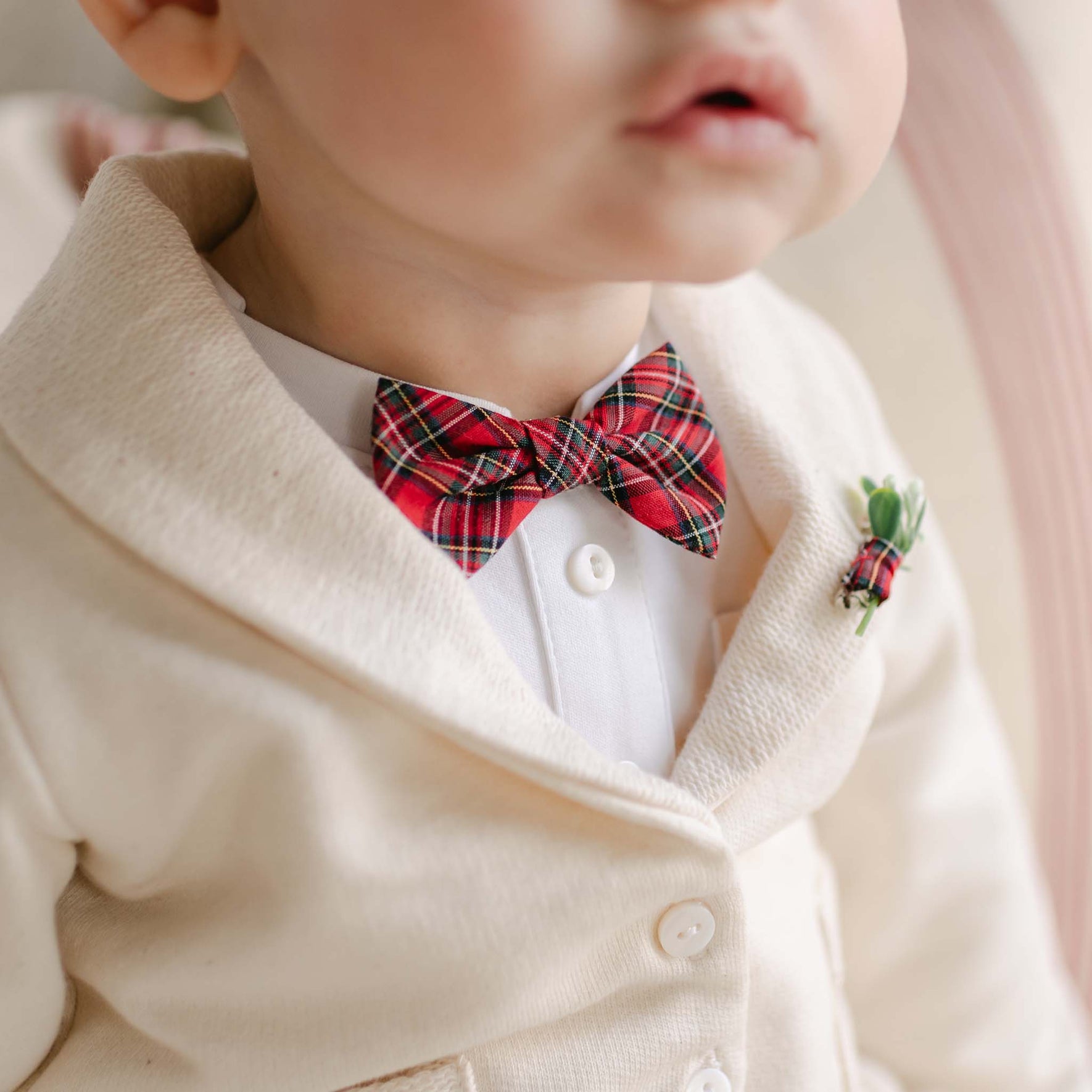 Gabriel Bow Tie & Boutonniere Set